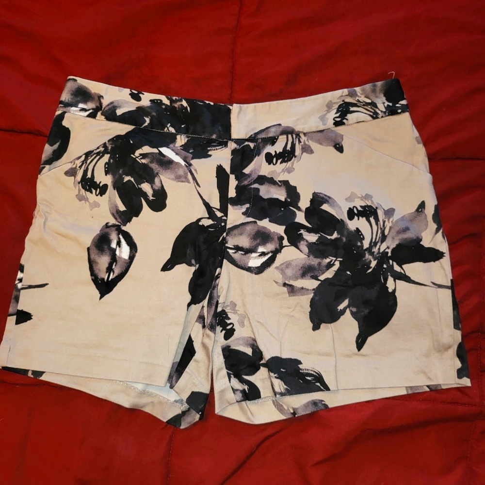 Inc shorts